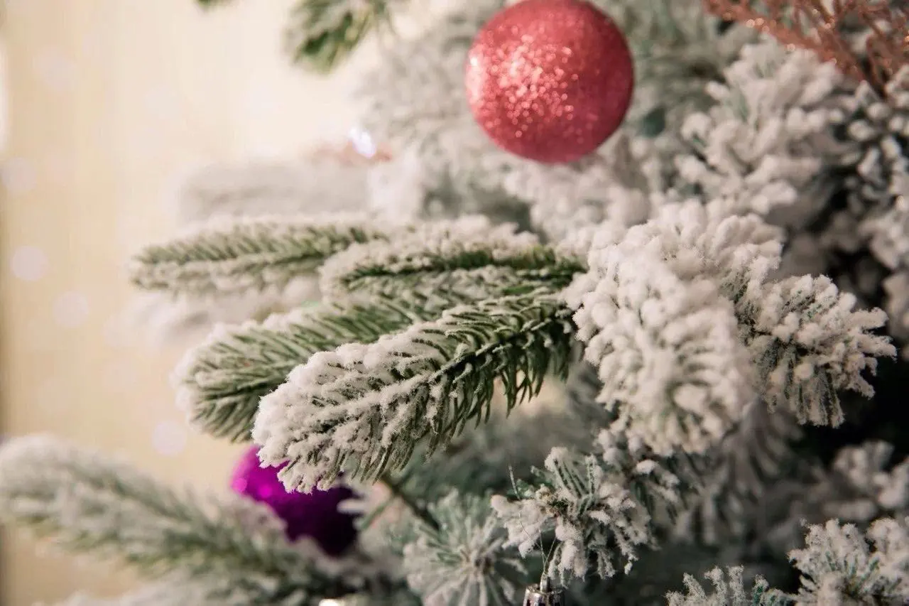 Brad Divi Trees American Snow Small 2.1m