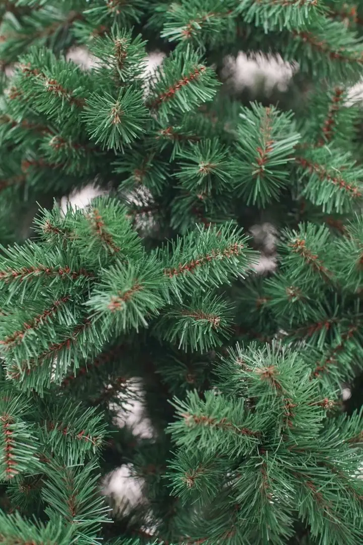 Елка Divi Trees Classic 1.5м