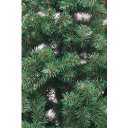 Brad Divi Trees Classic 2.4m Thumb