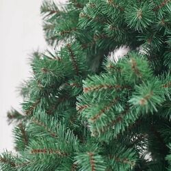 Brad Divi Trees Classic 2.4m Thumb