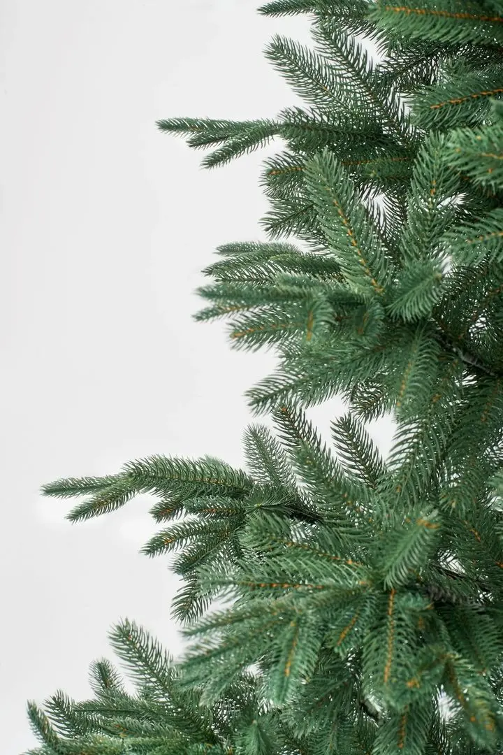 Brad Divi Trees Grand Elite Premium 2.4m