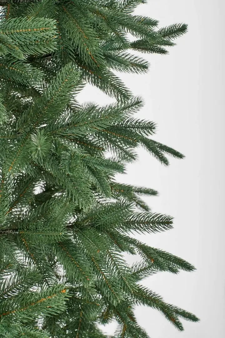 Brad Divi Trees Grand Elit Premium 3m - 2