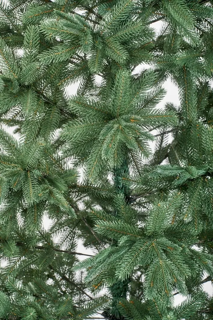 Brad Divi Trees Grand Elit Premium 3m - 3
