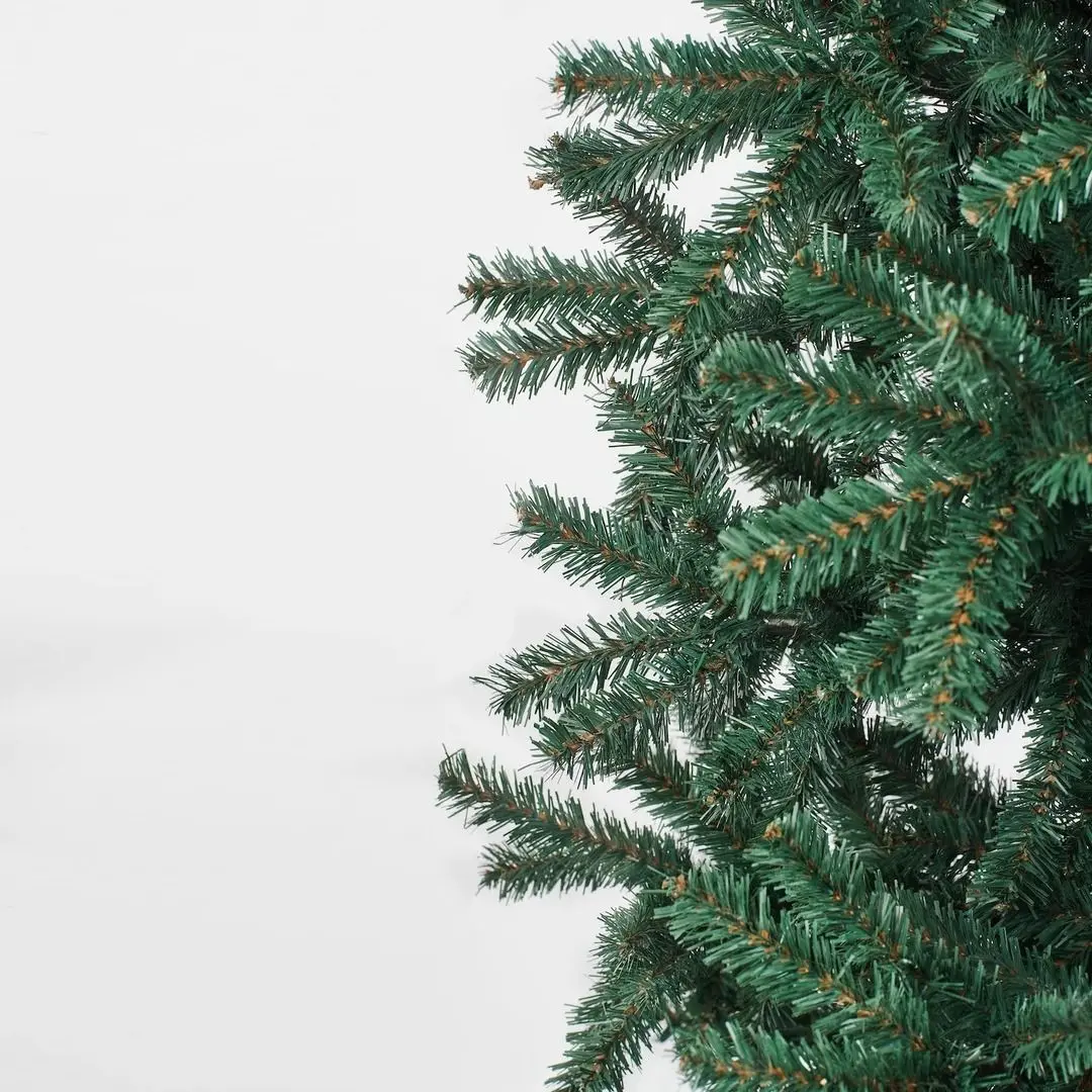 Brad Divi Trees Modern 1.8m