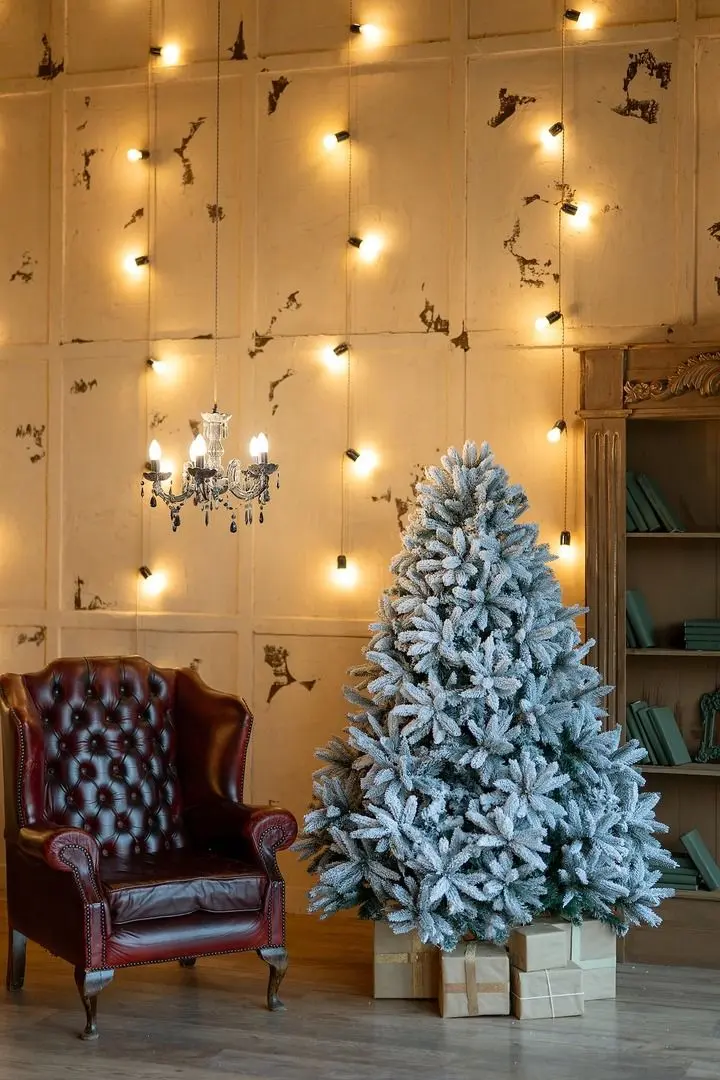 Brad Divi Trees Mont Blanc 1.8m