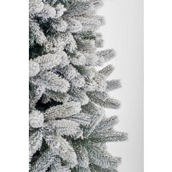 Brad Divi Trees Mont Blanc 4.5m Thumb