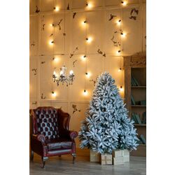 Brad Divi Trees Mont Blanc 4.5m Thumb