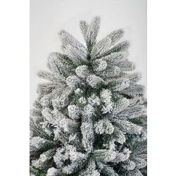 Brad Divi Trees Mont Blanc 4m Thumb