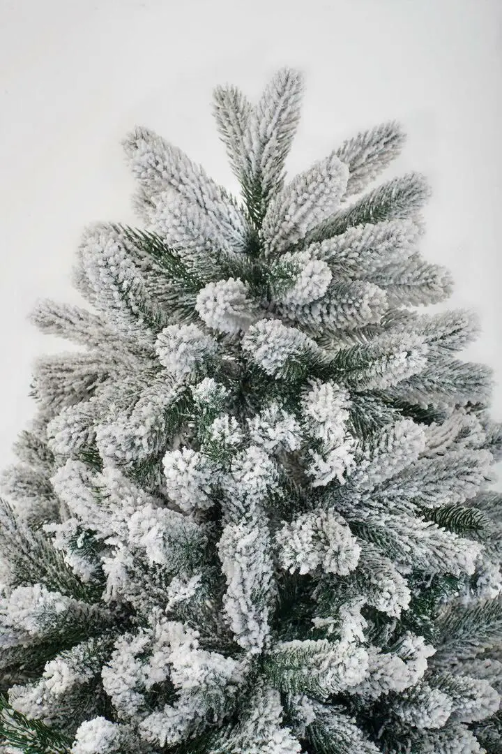 Brad Divi Trees Mont Blanc 4m - 2