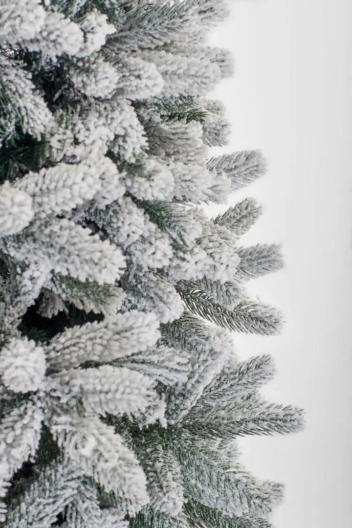Brad Divi Trees Mont Blanc 4m - 3
