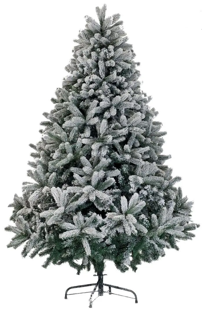 Brad Divi Trees Mont Blanc 4m