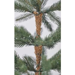 Елка Divi Trees Nordman LED 2.4м Thumb