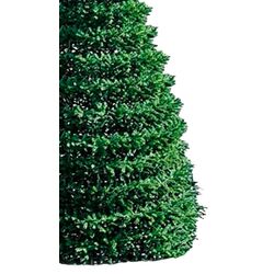 Brad Divi Trees Outdoor Premium Cone Silicon 3D 3m Thumb