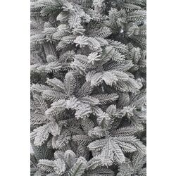 Brad Divi Trees Siberia 1.8m Thumb