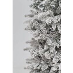 Brad Divi Trees Siberia 1.8m Thumb