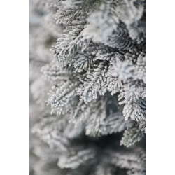 Brad Divi Trees Siberia Small 0.7m Thumb