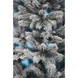 Brad Divi Trees Siberia Small 0.7m Thumb