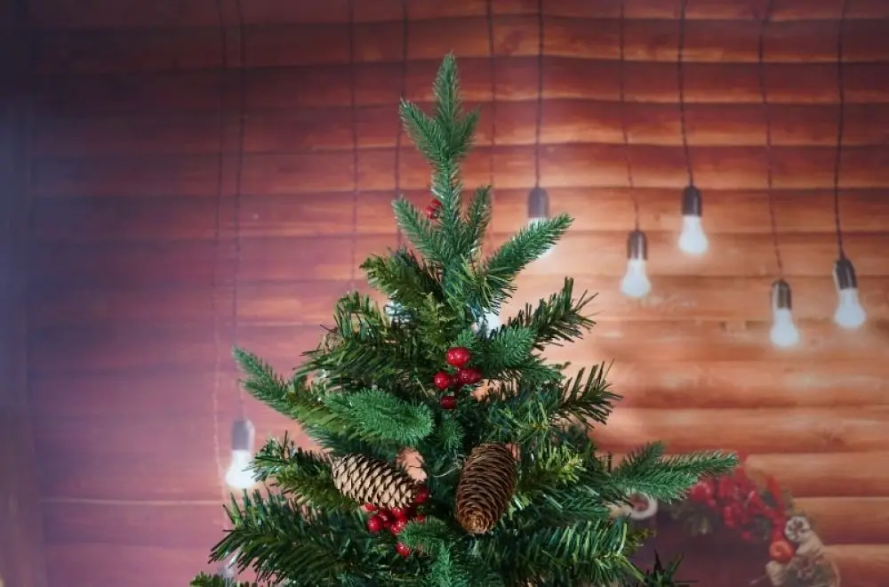 Brad Flippy 105731 210cm - 6