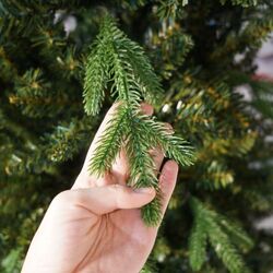 Brad Flippy 105737 180cm Thumb