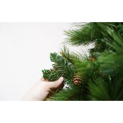 Brad Flippy 106776 210cm Thumb