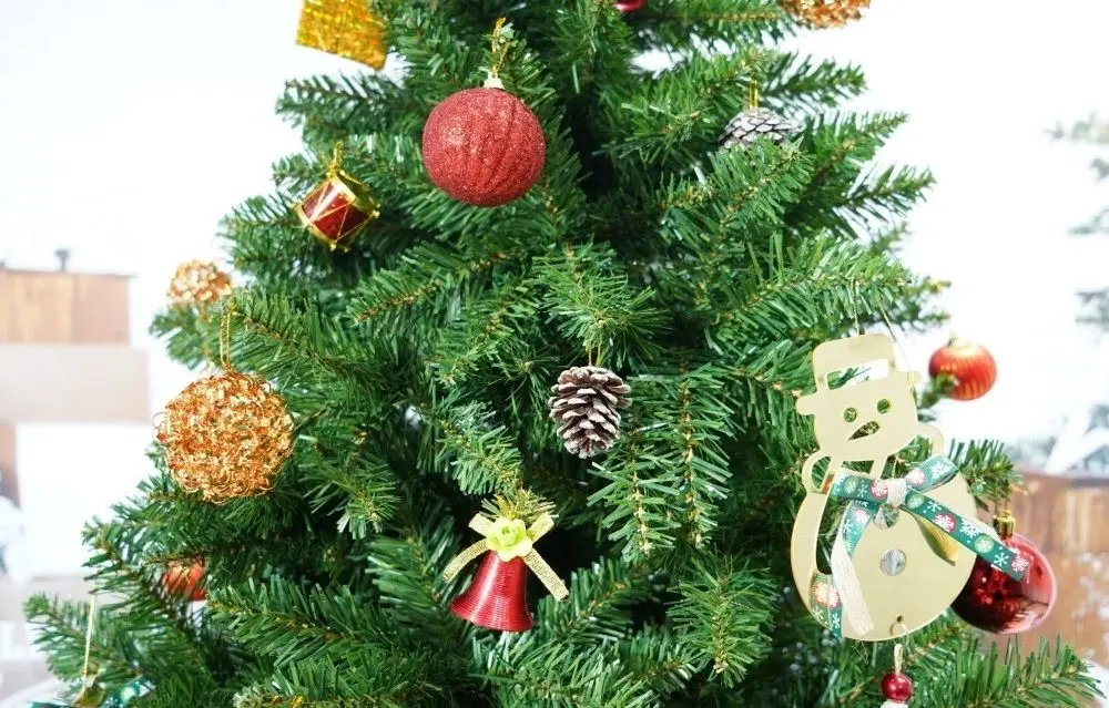 Brad Flippy 113061 210cm - 2