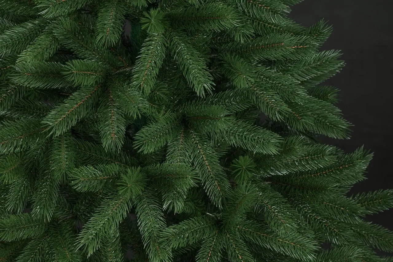 Brad Siga Group Bucovel 47684 230cm