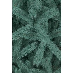 Елка Siga Group Bucovel 47689 230cм (Blue) Thumb