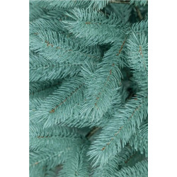 Brad Siga Group Bucovel 47690 250cm (Blue) Thumb