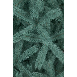 Brad Siga Group Bucovel 47690 250cm (Blue) Thumb
