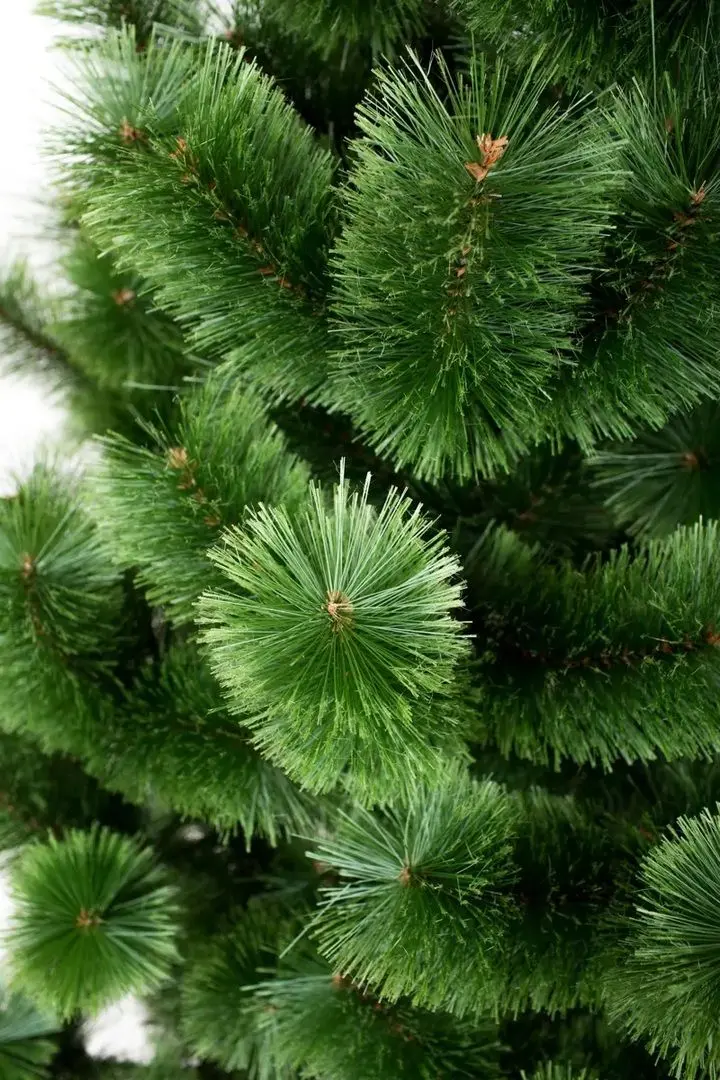 Brad Siga Group Fluffy 47665 120cm