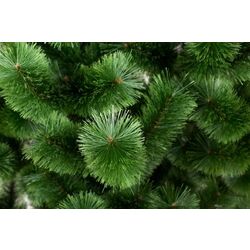 Brad Siga Group Fluffy 47665 120cm Thumb