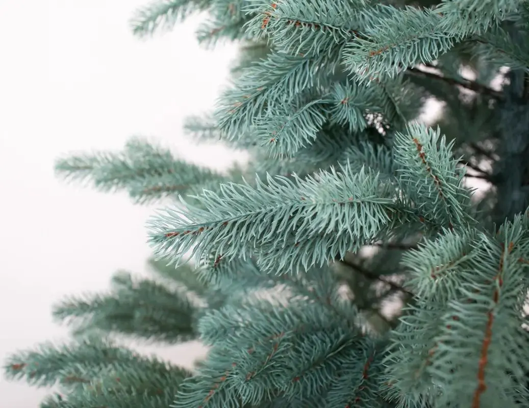 Елка Siga Group Kovalevskaya 47699 230cм