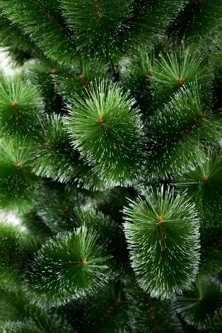 Елка Siga Group Mix Snowy 47668 120cм (Green) - 2