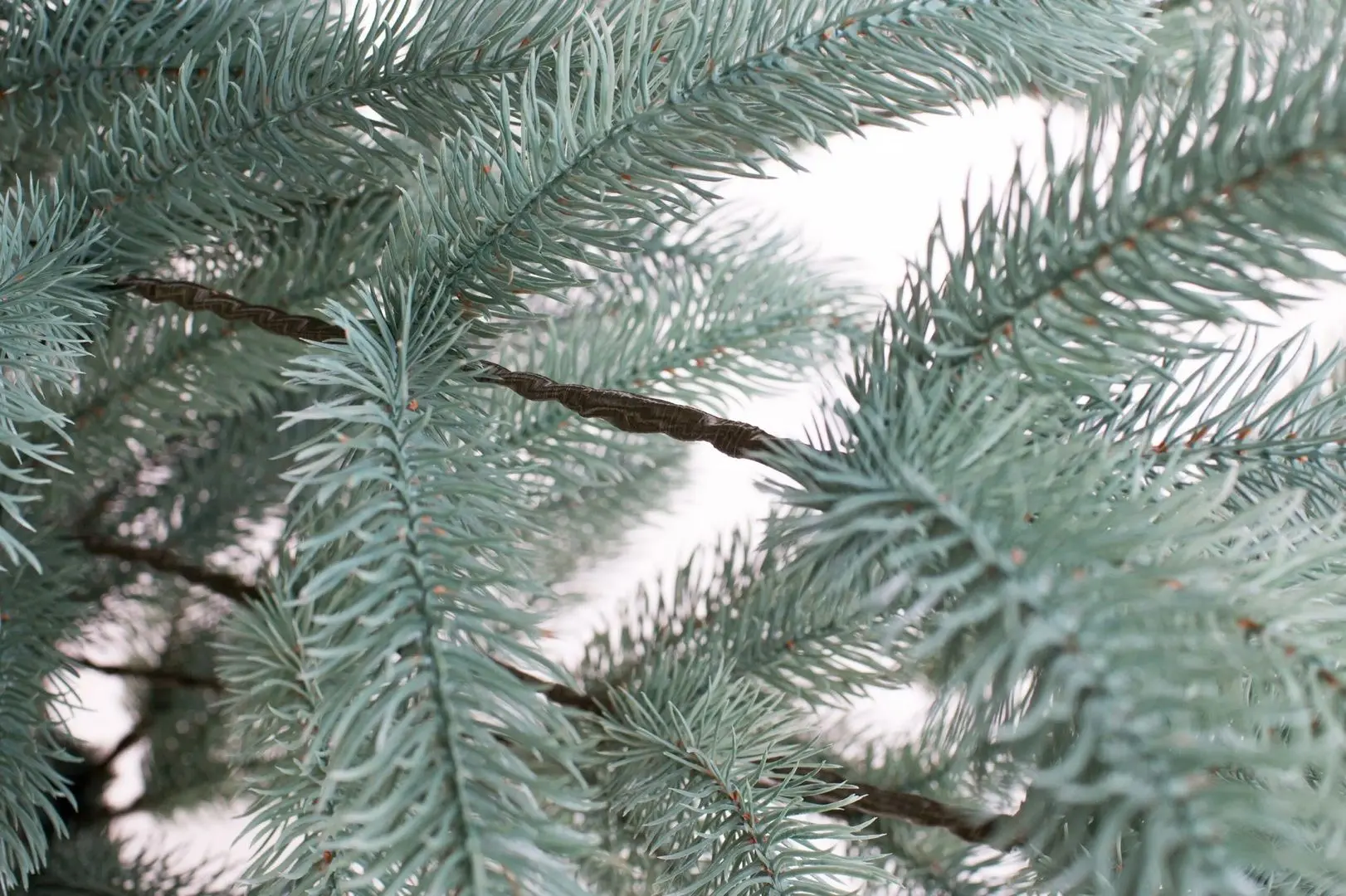 Елка Siga Group President 47677 180cм