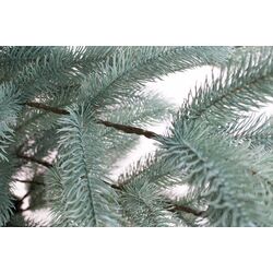 Елка Siga Group President 47678 210cм Thumb