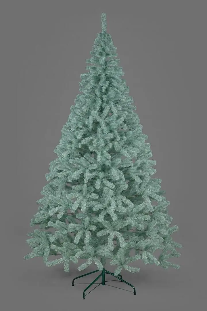 Brad Siga Group President 47680 250cm