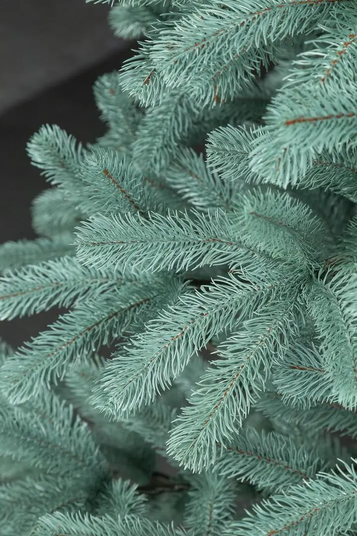 Brad Siga Group President 47680 250cm