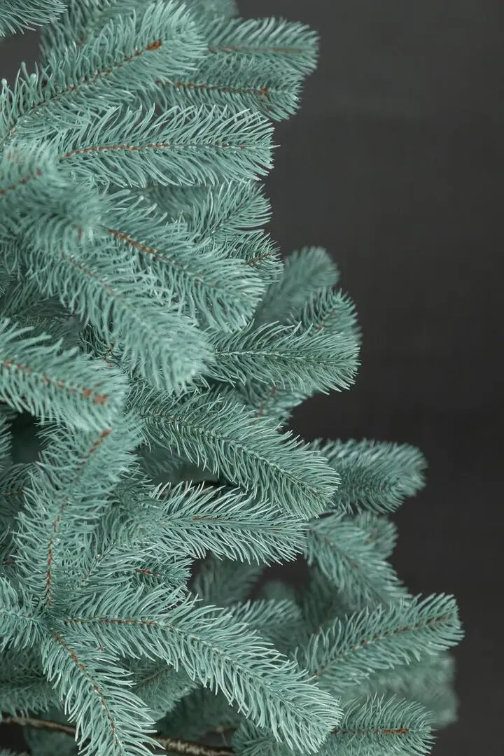 Brad Siga Group President 47680 250cm