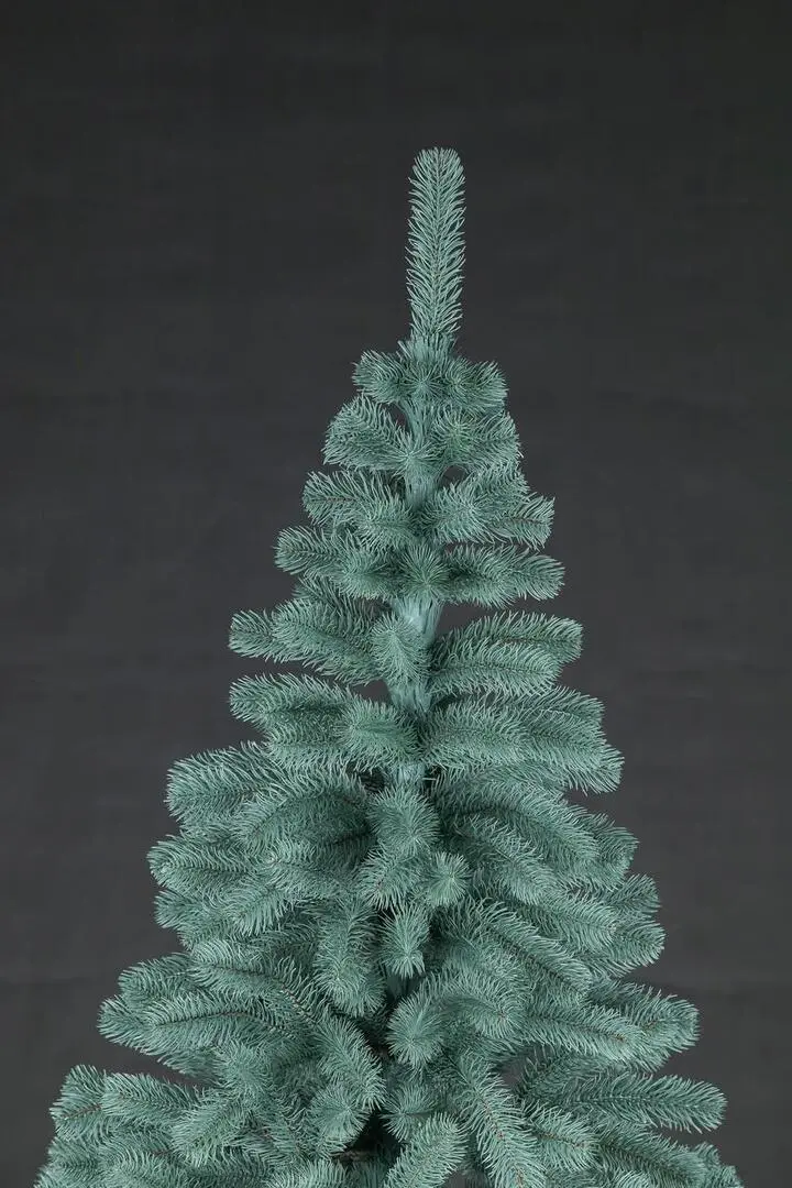 Brad Siga Group President 47680 250cm