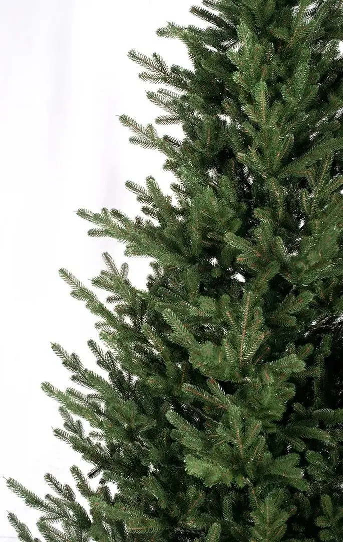 Brad Siga Group Vienna 47702 180cm - 3