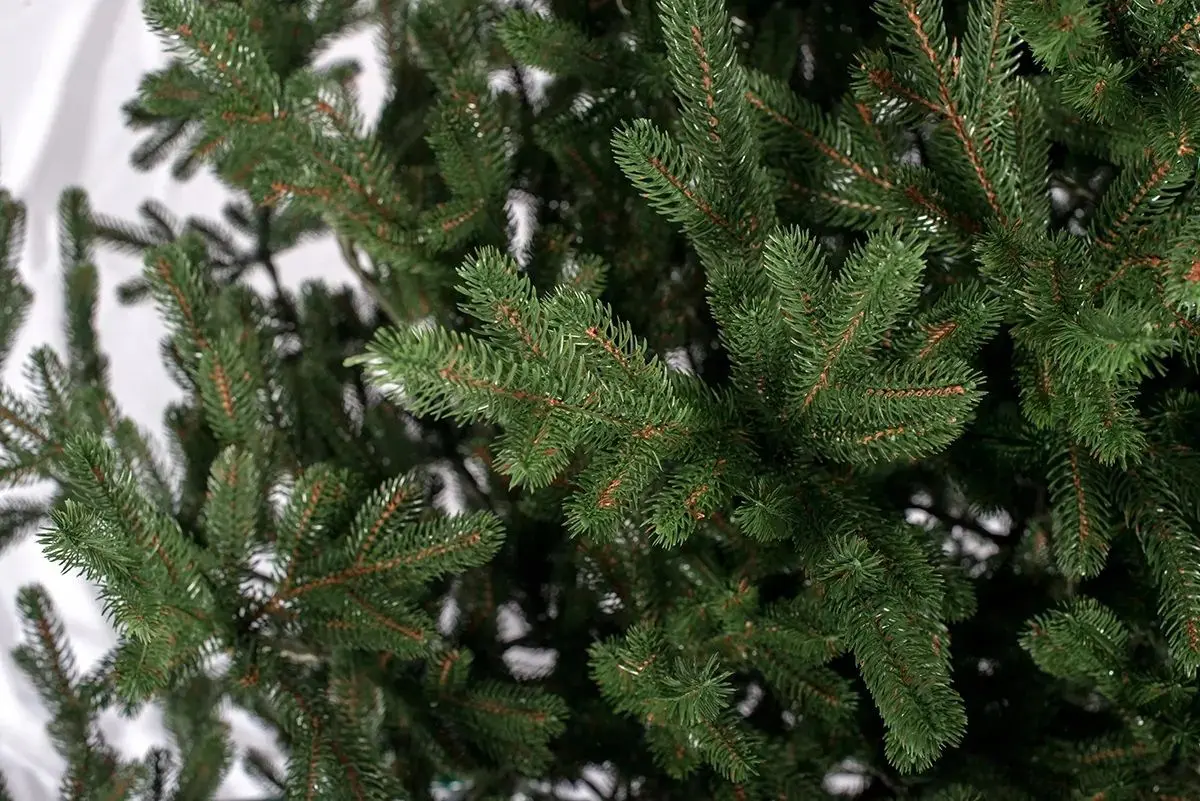 Brad Siga Group Vienna 47702 180cm - 4