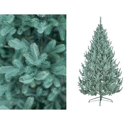 Brad Siga Group Vienna 47707 180cm Thumb