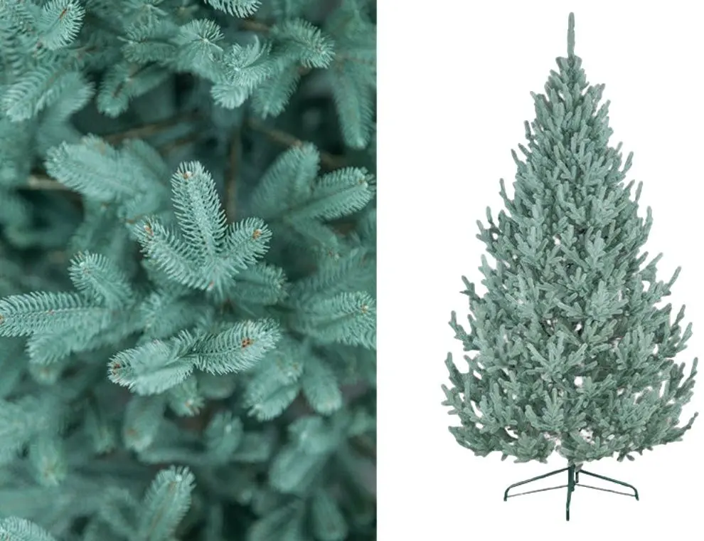 Brad Siga Group Vienna 47707 180cm - 3