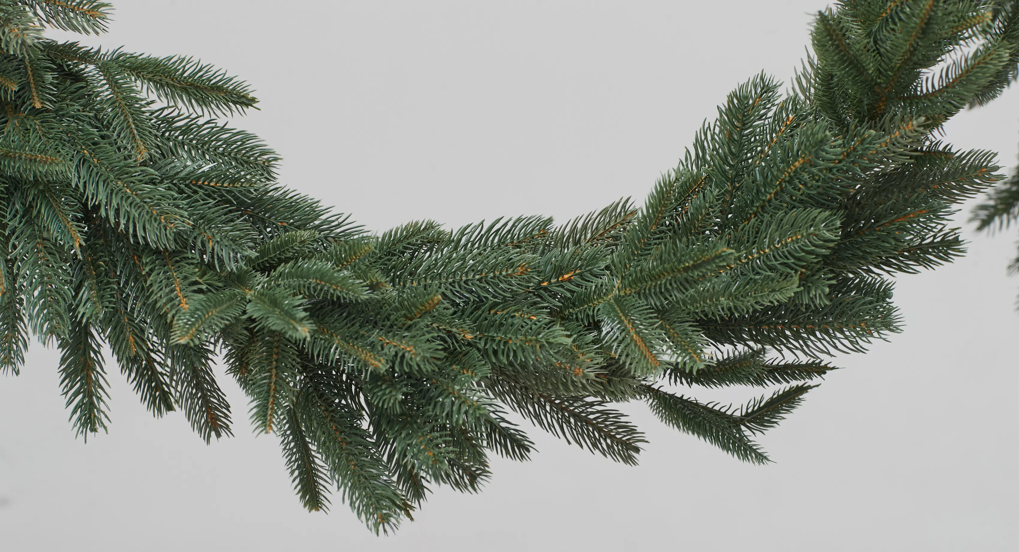 Ghirlandă de pin Divi Trees Garland Premium 2.7m (Green)