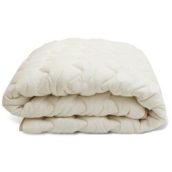 Одеяло зимнее Almir Thick 220x240 Thumb