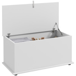 Сундук для хранения Homcom 833-321V81WT (White) Thumb