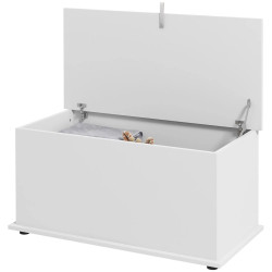 Сундук для хранения Homcom 833-321V81WT (White) Thumb
