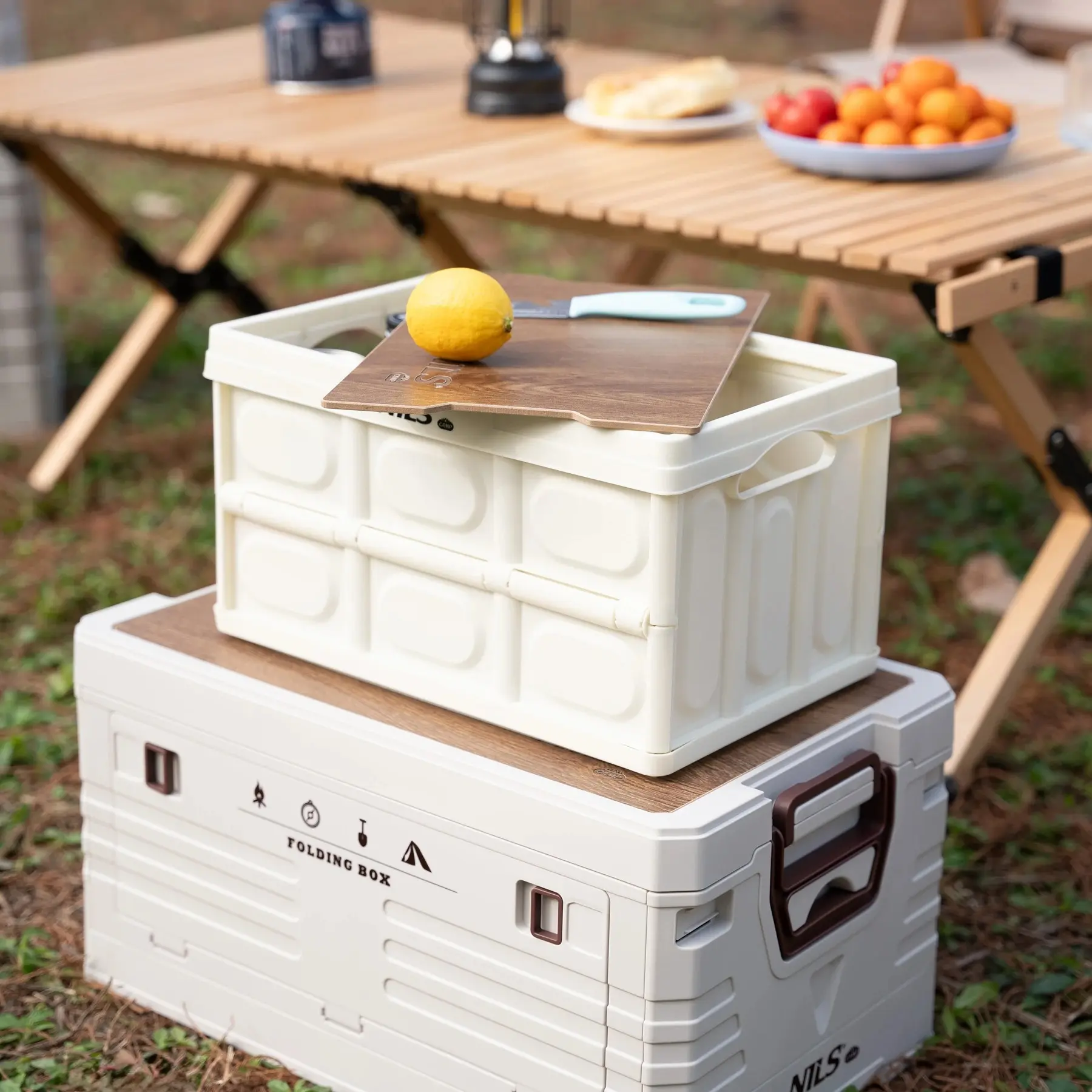 Cutie de depozitare 2in1 Nils Camp NCB4007 (White)