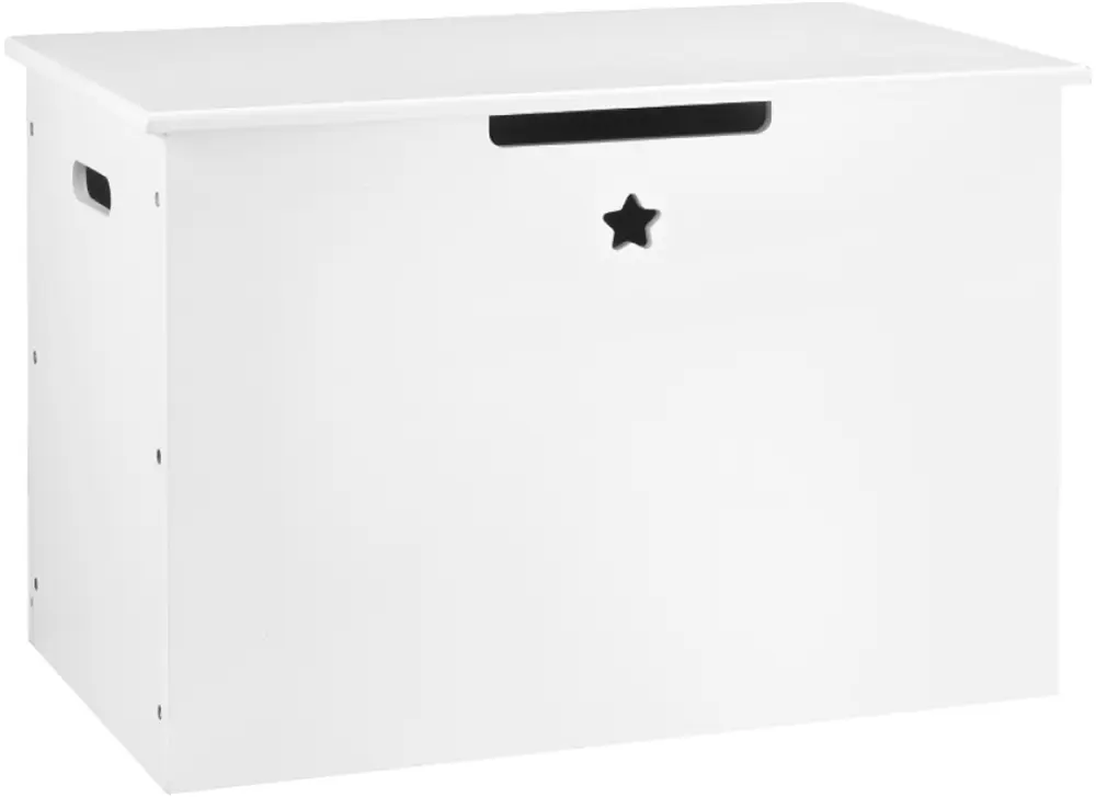 Cutie depozitare Tempo Kondela Bolis (White)