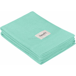 Плед Lionelo LN.125165 100x75 (Green Mint)